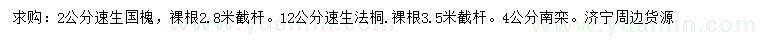 求購國槐、速生法桐、南欒
