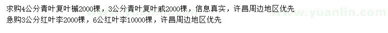 求購3、4公分青葉復(fù)葉槭、3公分紅葉李