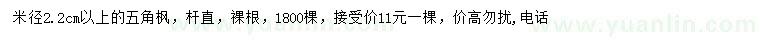 求購米徑2.2公分以上五角楓