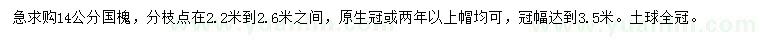 求購(gòu)14公分國(guó)槐