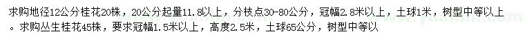 求購地徑12公分桂花、冠幅1.5米以上叢生桂花