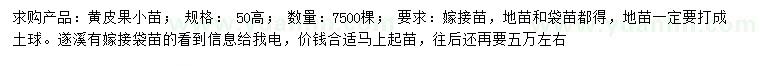 求購高50公分黃皮果小苗
