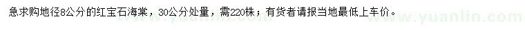 求購地徑8公紅寶石海棠