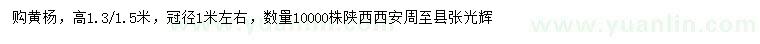 求購高1.3-1.5米黃楊