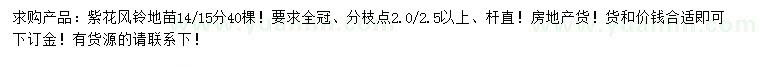 求購14、15公分紫花風鈴