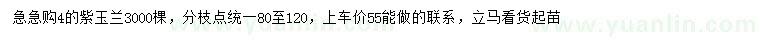 求購4公分紫玉蘭
