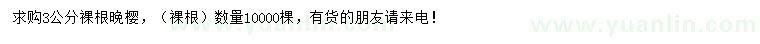 求購3公分晚櫻