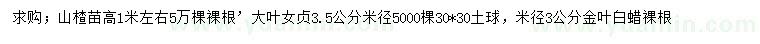求購山楂苗、大葉女貞、金葉白蠟