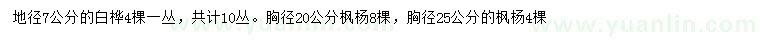 求購地徑7公分白樺、胸徑20、25公分楓楊
