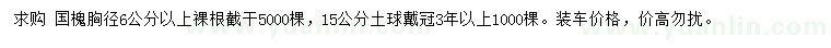 求購胸徑6、15公分國槐