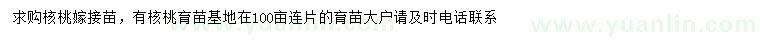 求購核桃嫁接苗