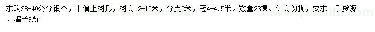 求購38-40公分銀杏