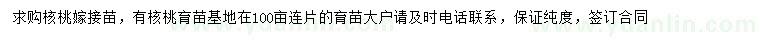 求購核桃嫁接苗