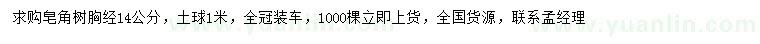求購胸徑14公分皂角樹(shù)