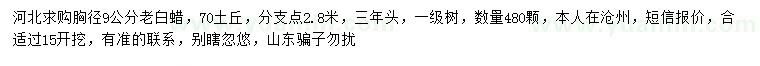 求購胸徑9公分白蠟