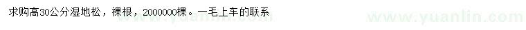 求購(gòu)高30公分濕地松