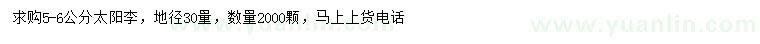 求購地徑5-6公分太陽李