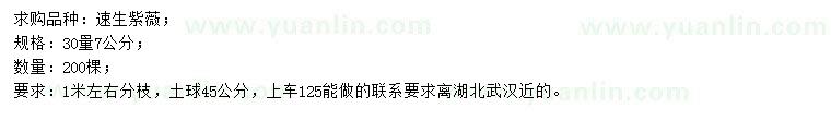 求購30量7公分速生紫薇