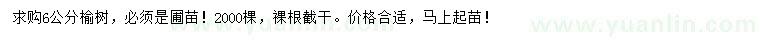 求購6公分榆樹