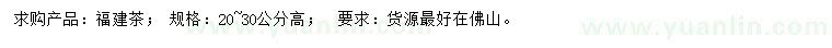 求購高20-30公分福建茶