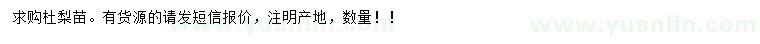 求購杜梨苗