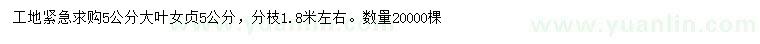 求購5公分大葉女貞