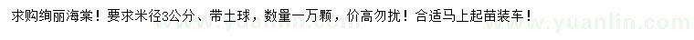 求購米徑3公分絢麗海棠