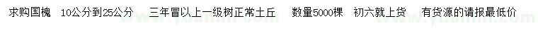 求購10-25公分國槐