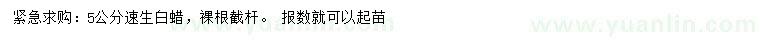 求購5公分速生白蠟