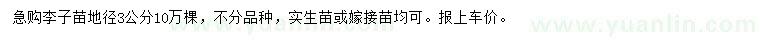 求購地徑3公分李子苗