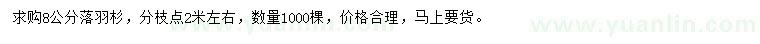 求購8公分落羽杉