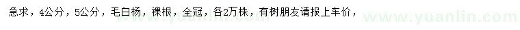 求購(gòu)4、5公分毛白楊