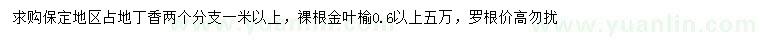 求購(gòu)1米以上丁香、0.6公分以上金葉榆