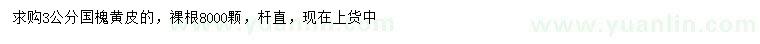 求購3公分國槐