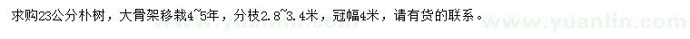 求購23公分樸樹