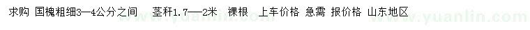 求購3-4公分國槐