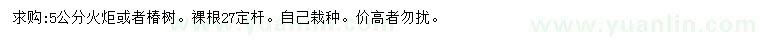 求購(gòu)5公分火炬、椿樹(shù)