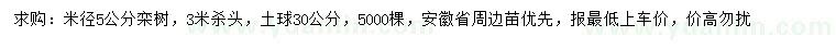 求購米徑5公分欒樹