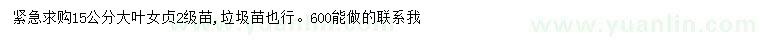 求購(gòu)15公分大葉女貞