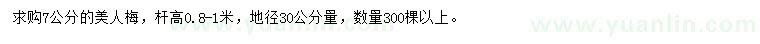 求購(gòu)30公分量7公分美人梅
