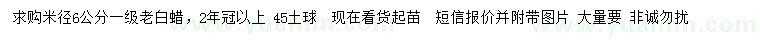 求購米徑6公分老白蠟