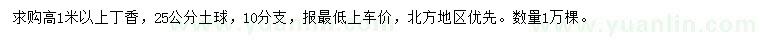 求購(gòu)高1米以上丁香