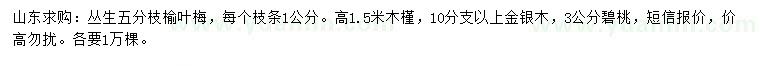 求購(gòu)叢生榆葉梅、木槿、金銀木等