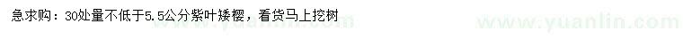 求購30量5.5公分以上紫葉矮櫻