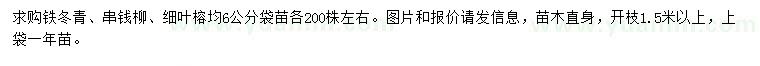 求購(gòu)鐵冬青、串錢(qián)柳、細(xì)葉榕