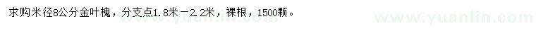 求購米徑8公分金葉槐