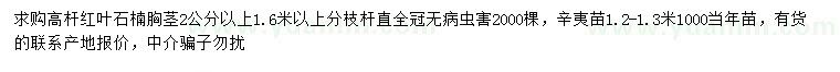 求購(gòu)胸徑2公分以上高桿紅葉石楠、1.2-1.3米辛夷