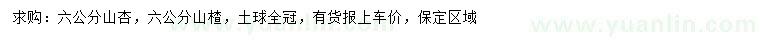 求購6公分山杏、山楂