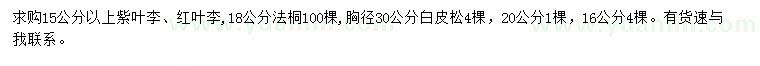 求購紫葉李、紅葉李、法桐等