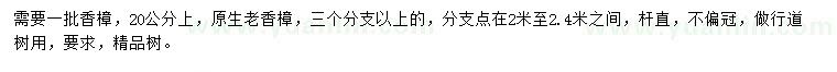求購(gòu)20公分上香樟